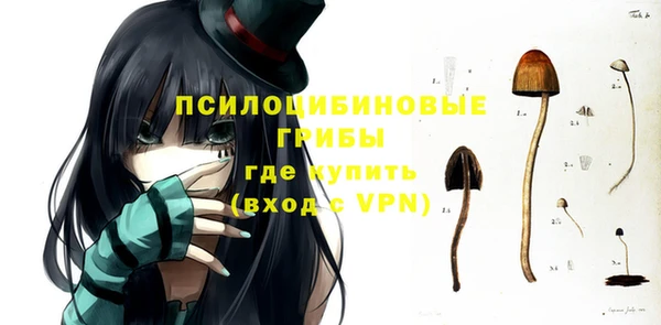 крисы Алексин