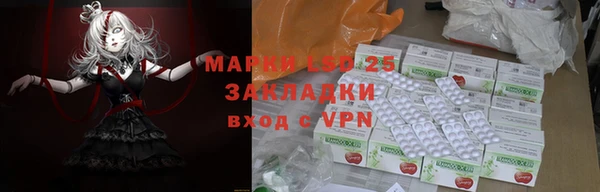 стафф Алзамай