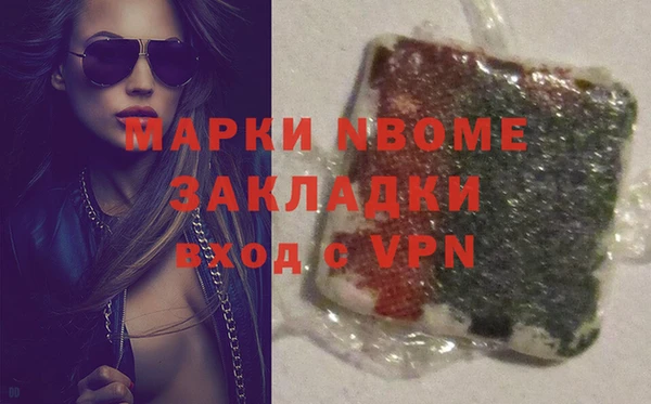 стафф Алзамай