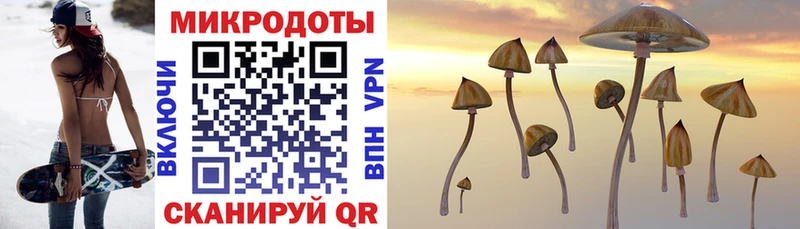Псилоцибиновые грибы Psilocybine cubensis  mega ТОР  Микунь  продажа наркотиков 